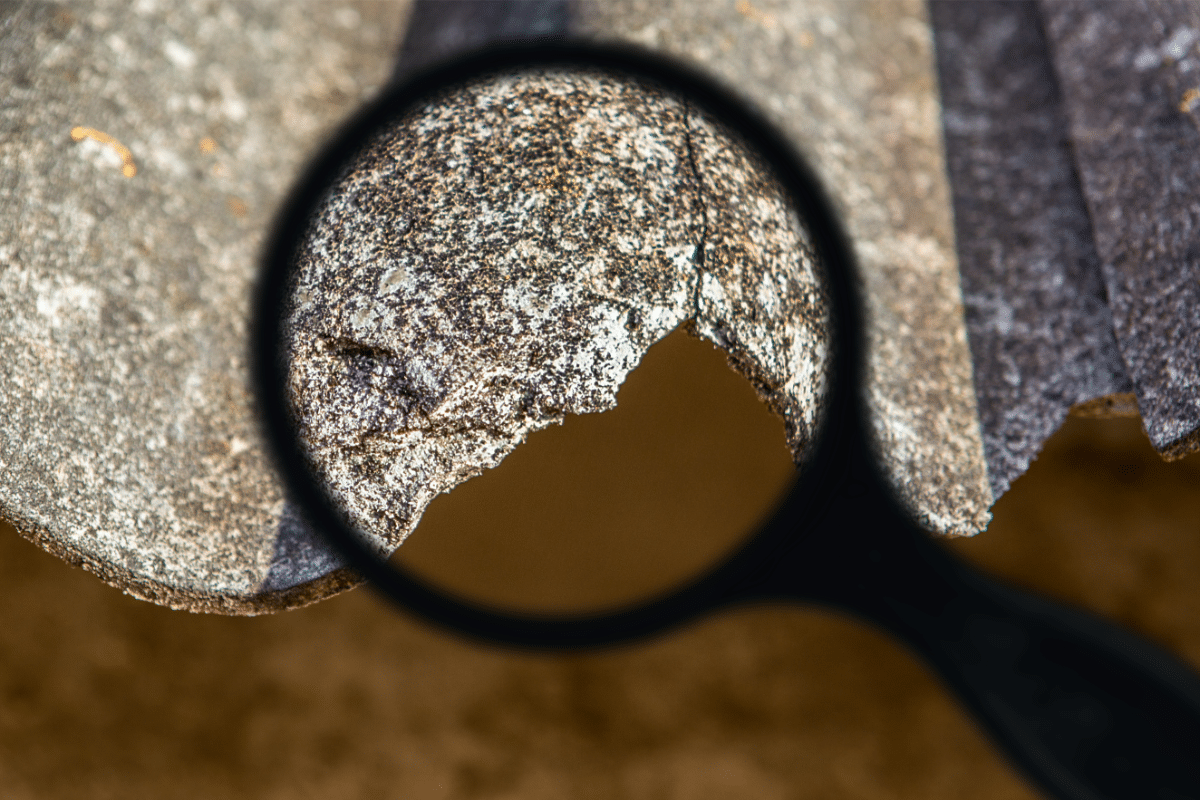magnified view of asbestos
